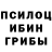 Псилоцибиновые грибы Psilocybine cubensis Block Soft