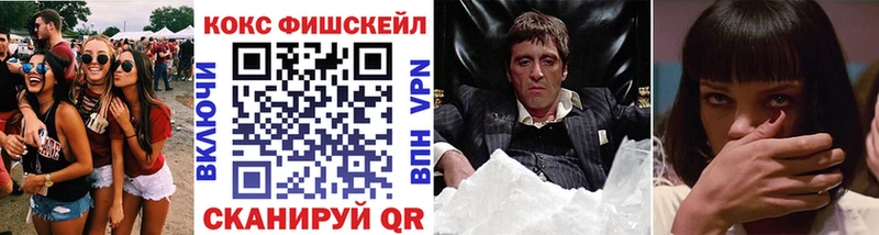 COCAIN Fish Scale  Купить где  Новозыбков 