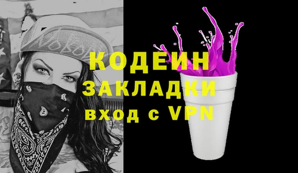 шишки Заводоуковск