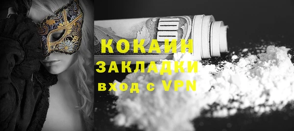 шишки Заводоуковск