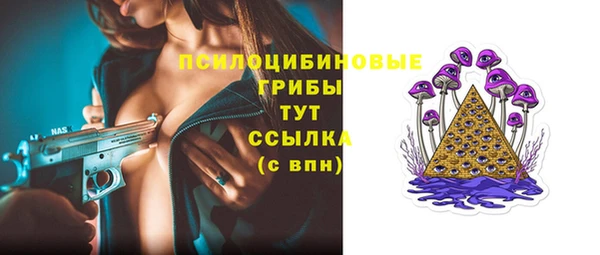 шишки Заводоуковск