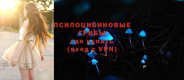 шишки Заводоуковск