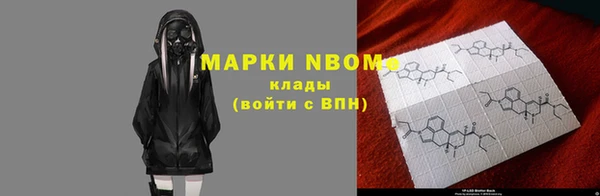 шишки Заводоуковск