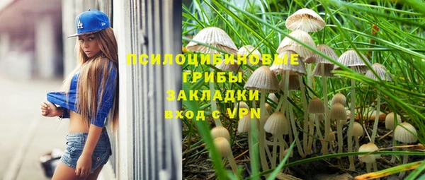 шишки Заводоуковск