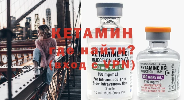 шишки Заводоуковск