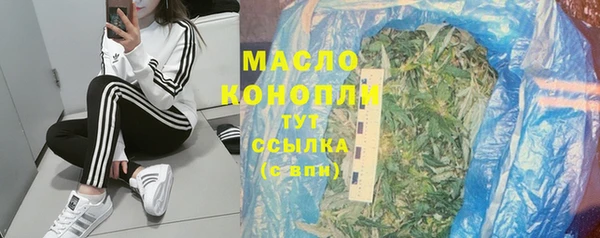 шишки Заводоуковск