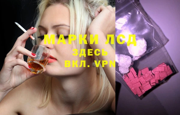 шишки Заводоуковск