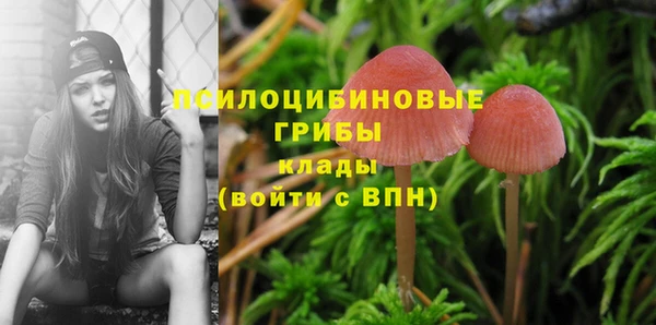 не бодяженный Заволжье