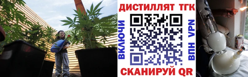 Купить закладки  Новозыбков  Дистиллят ТГК гашишное масло 